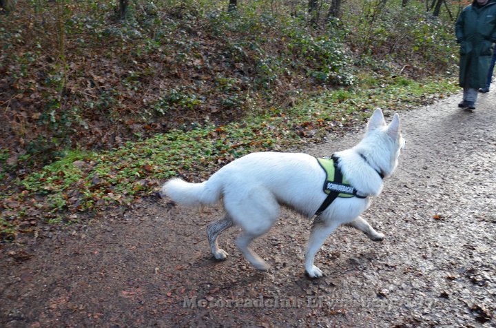 Wandertag 2012 - 076.JPG